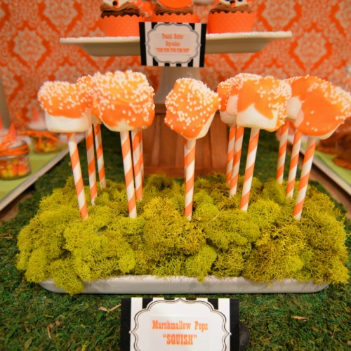 How to make cakepop stand 
