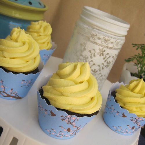 Fudge Chocolate Cupcake Recipe and Swiss Meringue Frosting