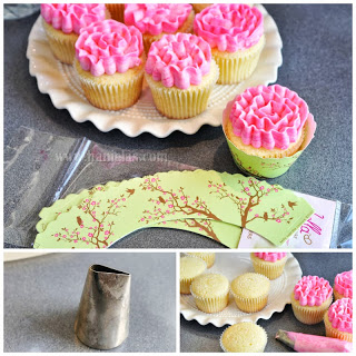 Vanilla Cupcake Recipe with Vanilla Buttercream Recipes