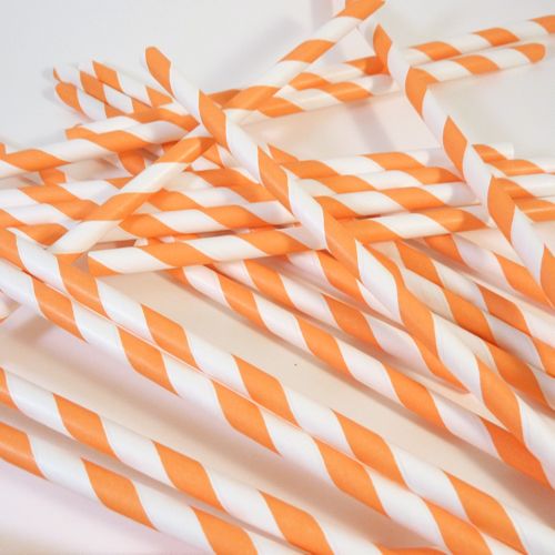 Paper Straws- Orange and White Striped