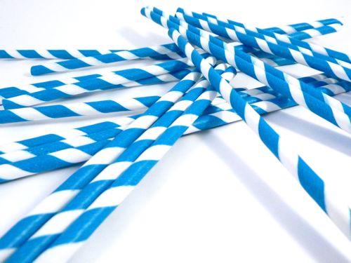 Paper Straws- Blue and White