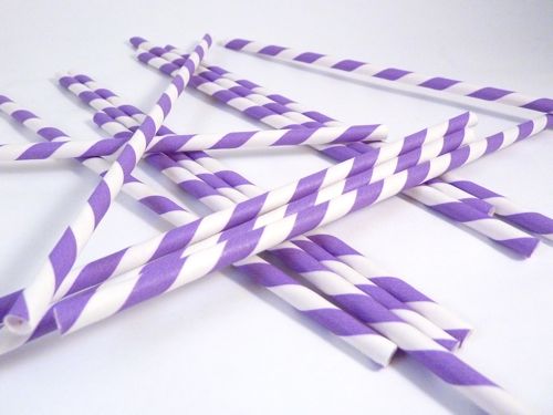 Paper Straws- Purple and White