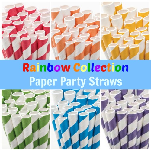 Rainbow Party Paper Straws - Includes 24