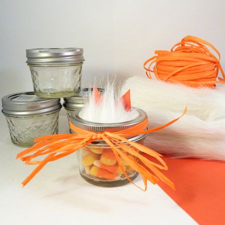 What Does the Fox Say Party Supplies for Mason Jar