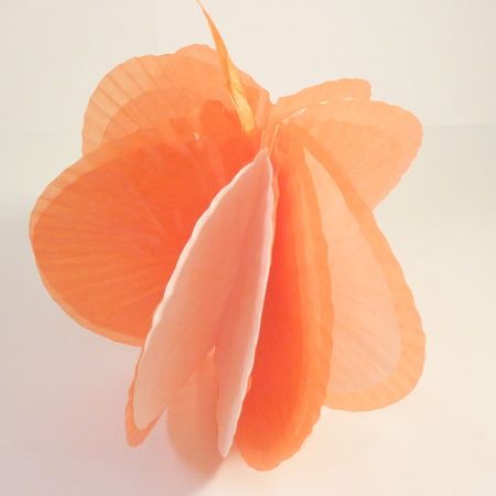 pom pom for party decor