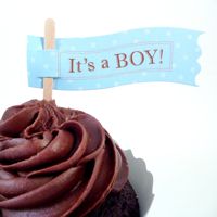 Cupcake Flag Picks - It's a Boy (6pk)