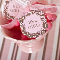 Hang Tags- Hannah Pink & Brown 