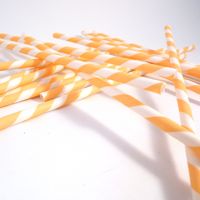 Paper Straws- Peach and White