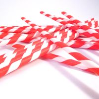 Paper Straws- Red and White
