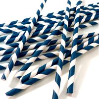 Paper Straws- Navy Blue and White