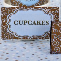 Place Cards- Olivia Swirl Blue & Brown